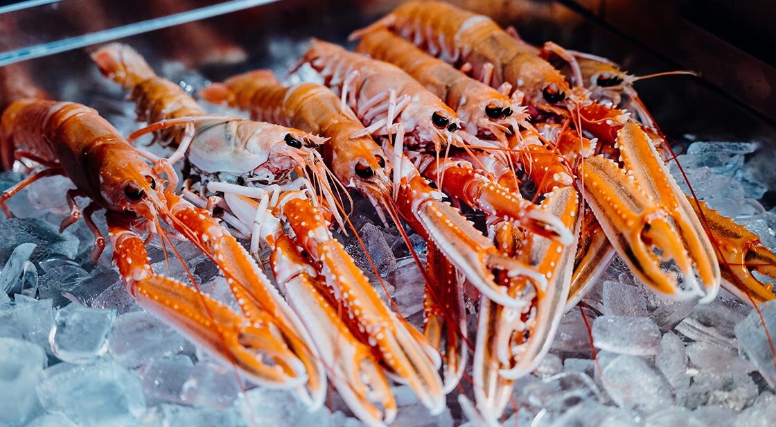 노르웨이 랍스터