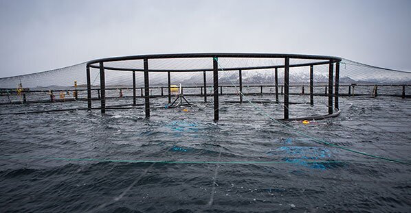 가두리 양식장