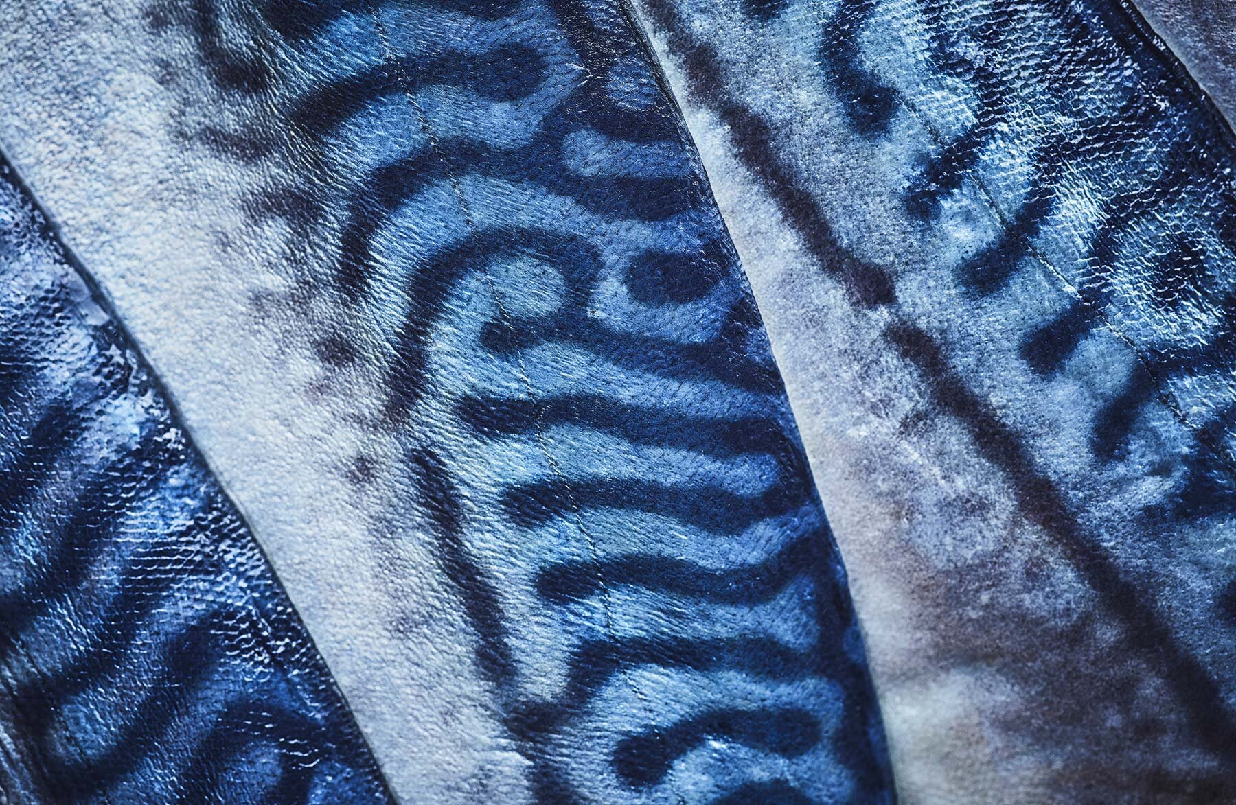 노르웨이 고등어