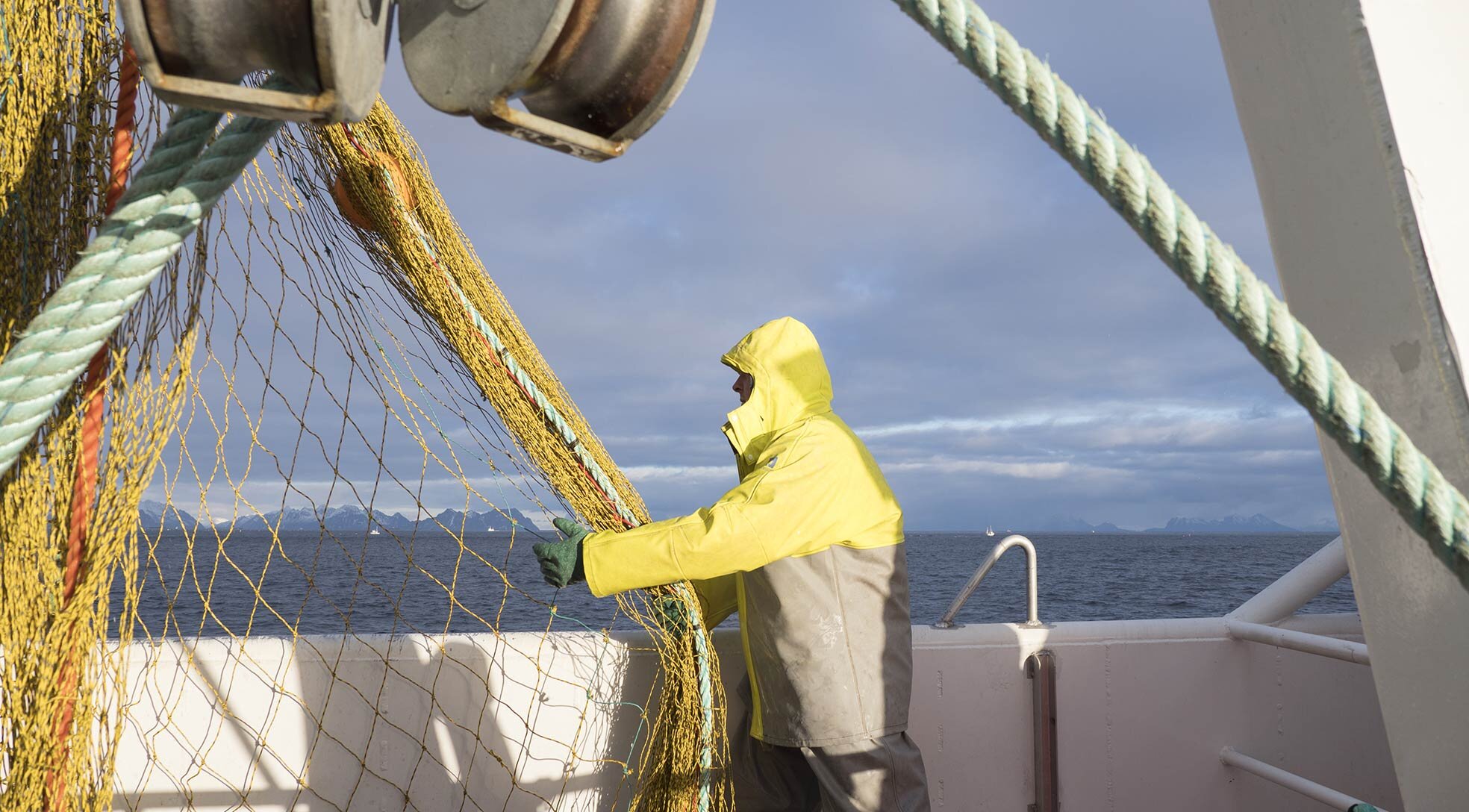 수산물을 위한 최적의 생태 환경